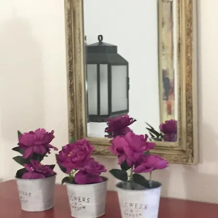 Studio Albufeira 알부페이라